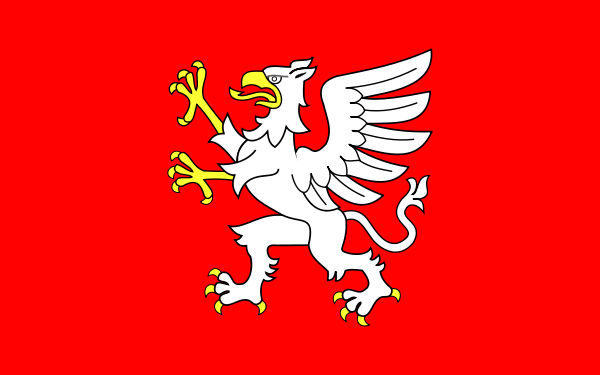 flaga Dębicy