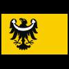 flaga powiatu brzeskiego