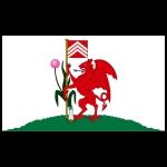 flaga Cardiff