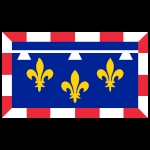 flaga Regionu Centralnego Doliny Loary