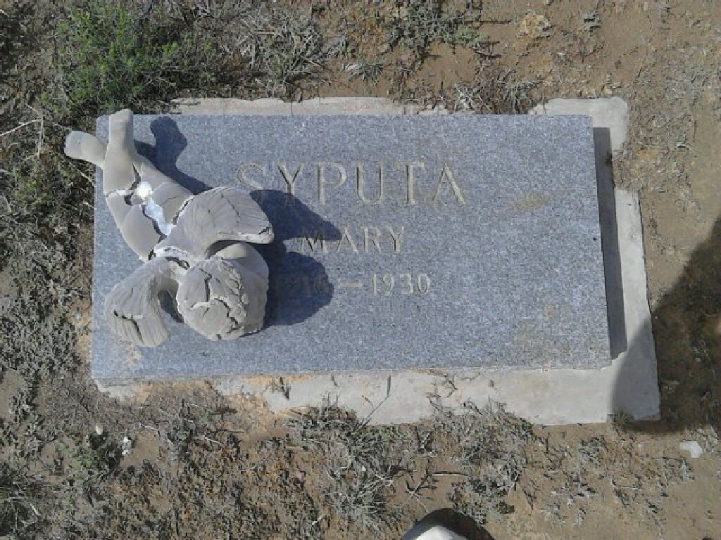 Mary Syputa Jr.’s Grave (MR11718-P)