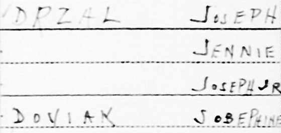 The Drzal Family in 1940 Census
