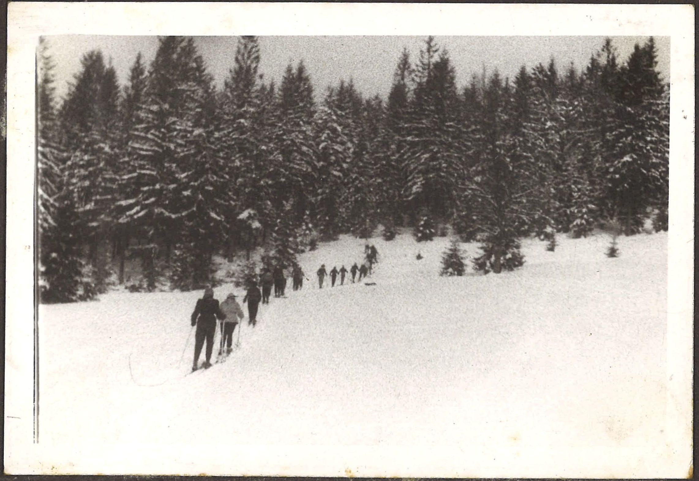 Korowód narciarzy jadących w las (oszac. 1937)