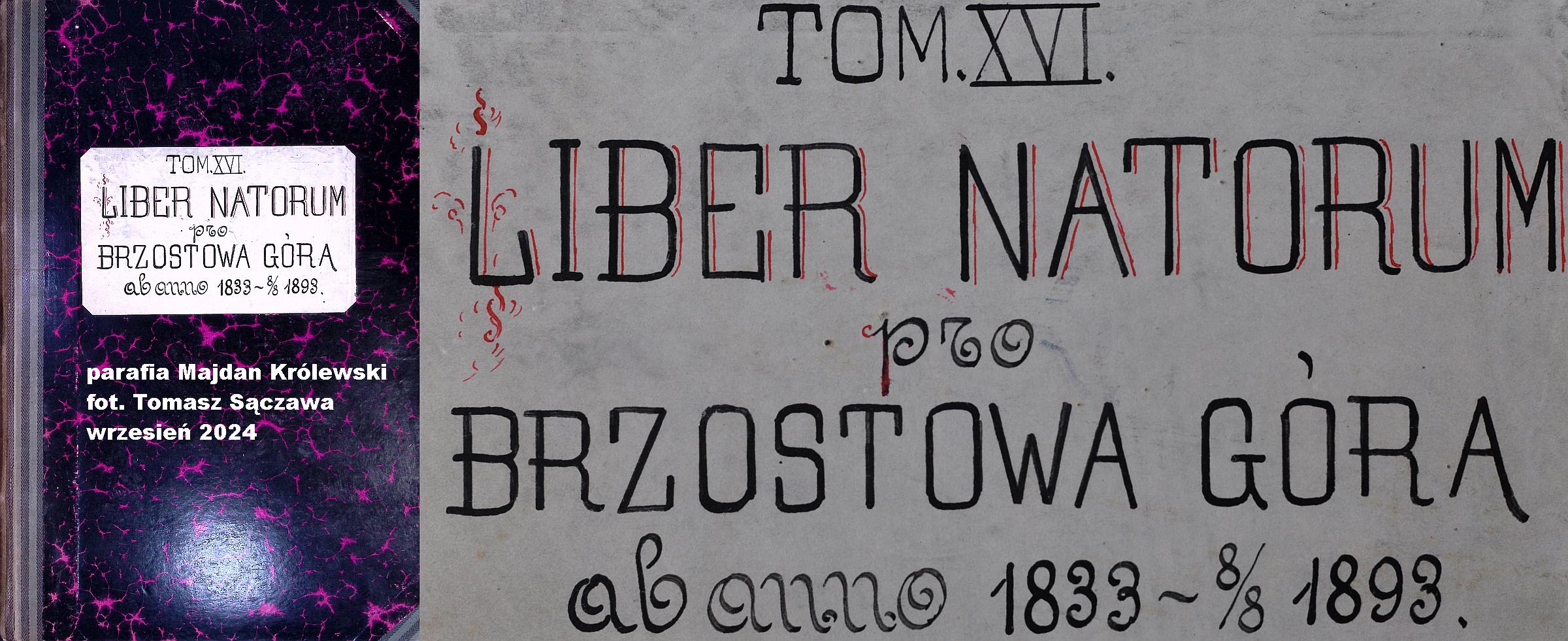 Tom XVI Liber Natorum pro Brzostowa Góra ab anno 1833~⁸∕₈ 1893