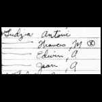 The Ludzia Family in 1940 Census [MR15445-P]