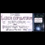 Tom XXXII. Liber copulatorum et mortuorum{-1915} pro Brzostowa Góra ab anno ²⁴∕₆ 1866~1915 {-1922 copul.} Majdan Królewski [MR15549]