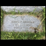 Bertha&John and Paul Doviak’s Grave