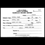 Marriage record report of Frank Goglio and Anna Syputa — John Johnson