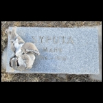 Mary Syputa Jr.’s Gravestone