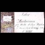 Liber Mortuorum pro Urbe et Pago Majdan ab anno 1874 ad 1897 ind. T. XXXVI Majdan Królewski [MR16918]