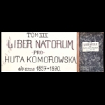 Tom XIX Liber Natorum ~pro~ Huta Komorowska ab anno 1837–1890 Majdan Królewski [MR16950]