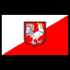 flaga Oławy